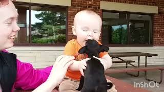 Puppy Love Overload! The Cutest Babies and Dogs Playing Together