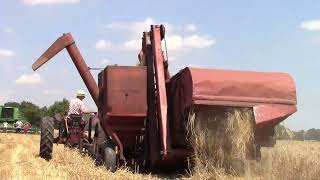 Vintage combines at Weeting Steam Rally 2024