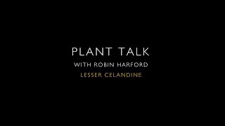 Plant Talk: The Past and Present Edible Uses of Lesser Celandine by Robin Harford