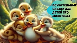 Поучительные сказки для детей про животных