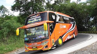 ARTIS BUS TELOLET NGACIR KEJAR TARGET