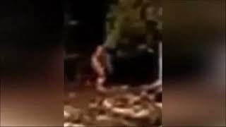 Bigfoot appeared to people