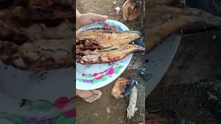 Snake head fish kilaw pangat sa kamias farmers food