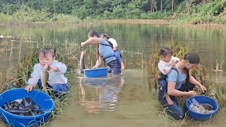 Catch fish in the flood season in the wild lagoon and catch snails to sell, preparing to make rafts