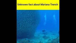 Amazing facts about Mariana Trench in Hindi #shorts #ytshorts