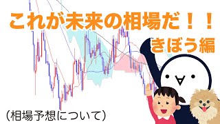 相場予想は役立たず？FXトレードの基礎的立ち回り