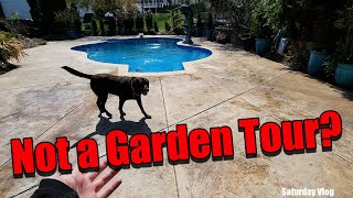 Not March Garden Tour & New Plants I'm Excited About