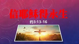 信耶稣得永生#基督#福音#救赎#信心#重生#国度