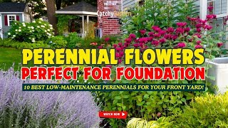 10 BEST LOW-MAINTENANCE PERENNIALS for Your Front Yard! 🌼🏡🌺 // Gardening Ideas