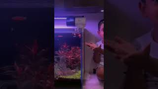 Kid Cleaning Aquarium