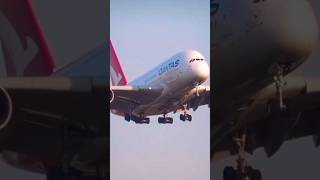 Best Passion In The World #aviation #airplane #trending #aviationlovers #aerospace #youtubeshorts