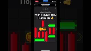 Хомяк мини игра 8 - 9 ноября! Прохождение hamster kombat puzzle game