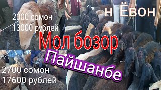 Мол бозор пайшанбе янги