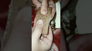 Amul icecream sandwich review|| not sponsored|| must try🤤🤤