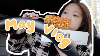 🍙May Vlog 五月日记 | 海苔肉松饭团 | 超好玩的游戏厅(The Rec Room) | 开车进去的动物园🦒 | 宅家染头发 | 收纳盲盒 ｜MIMIZHANG