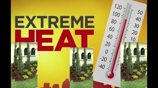 Landscaping Extreme Heat 97%F