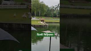 Delhi Zoo || #shorts #ytshorts #specificjourneys