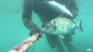 Pesca Sub: Sotto la pioggia di Luglio.16/07/2014