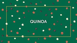 QUINOA - DIANA COMPANY & @TOJIDLO - ŠKOLA PŘÍRODY