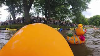 Duckrace 2024 - Hout video 360°