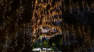 Cairns Australia 2023 Esplanade at Night