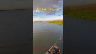 Raining in August?? #bassfishing #fishing #californiadelta #rain