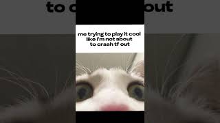 Relatable #relatable #capcut #funny #memes #cat