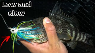 Winter spotted bay bass fishing low and slow (marina del Rey)