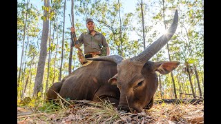 Hunting Banteng in Australia's Northern Territory