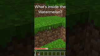 What's inside the watermelon?  #minecraft #viral #meme