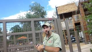 Opening Day of "Asian Tropics" at Denver Zoo with Bodhi transfer! 6-1-12