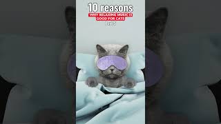 Check out our relaxing sounds for cats. Calming music for cats. Cat music. Relax my cat