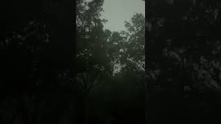 Backyard during tornado warning