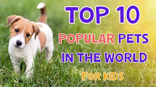 Top 10 Most popular Pets In The World | For Kids | 4K