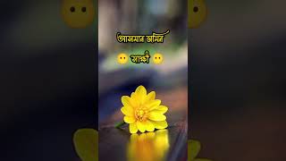 কষ্টের টিকটিক ভিডিও ভাইরাল #youtube #video #sad_status #vairal #vairal_short