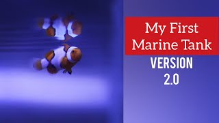 My First Marine Tank : v2.0 - Tamil ( With Subtitle ) | New Equipments, Picasso Clowns & Anemone