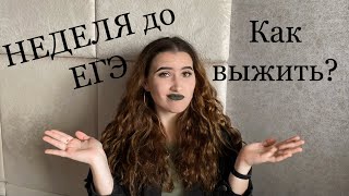 НЕДЕЛЯ ДО ЕГЭ / что делать ?