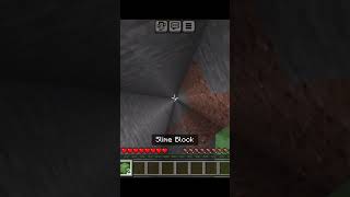 chipi chipi chapa chapa gamerfleet voice Minecraft ll #minecraft #viral #trending ll Mcpe_gamerz578