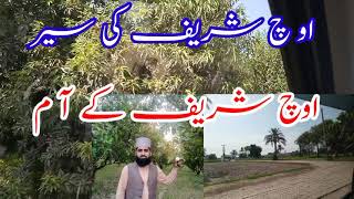 Vlog ocha Sharif Afzal Vlog ctn