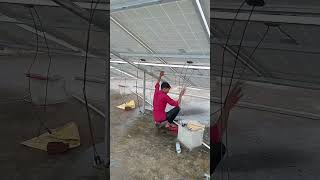 solar panel wiring work