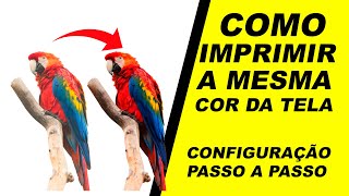 Como Imprimir a mesma Cor que Vê na Tela, aprenda como configurar sua impressora Passo a Passo