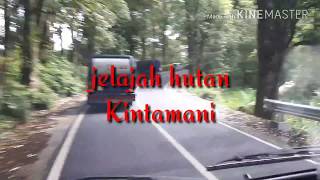 OFFROAD WITH KAWASAKI KX250F DI HUTAN KINTAMANI BALI