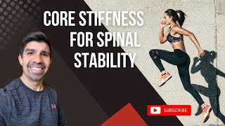 Core Stiffness for Spinal Stability