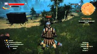 The Witcher 3 Overkill Achievement Trofeo Fatalities Finishing Moves HD