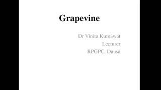 Grapevine by Dr Vinita Kumawat, Lecturer, GPC, Dausa