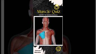 99% People can't answer this question|| anatomy quiz ||anatomy quiz muscles | #musclesquiz