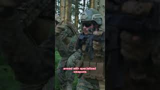 Special Forces in Action