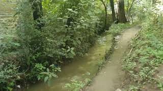 waking in green valley swat pakistan | Swat is most beautiful and green valley of Pakistan