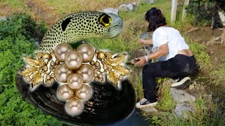 A glowing oyster, with bulging pearls popping out of its belly one by one