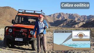 Introducción a la Geología: Calizas - una roca sedimentaria organogenia - química